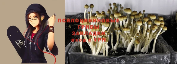 MDMA Кулебаки